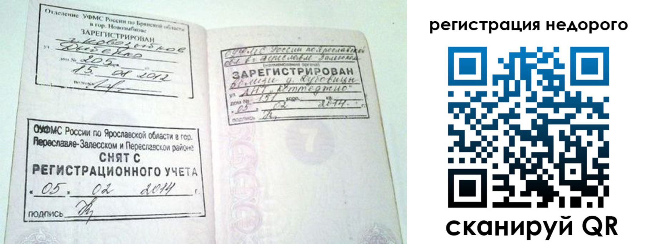 прописка поиск в Видном